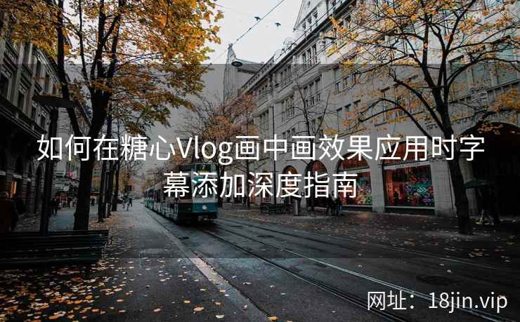 如何在糖心Vlog画中画效果应用时字幕添加深度指南