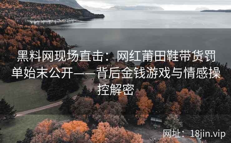 黑料网现场直击：网红莆田鞋带货罚单始末公开——背后金钱游戏与情感操控解密